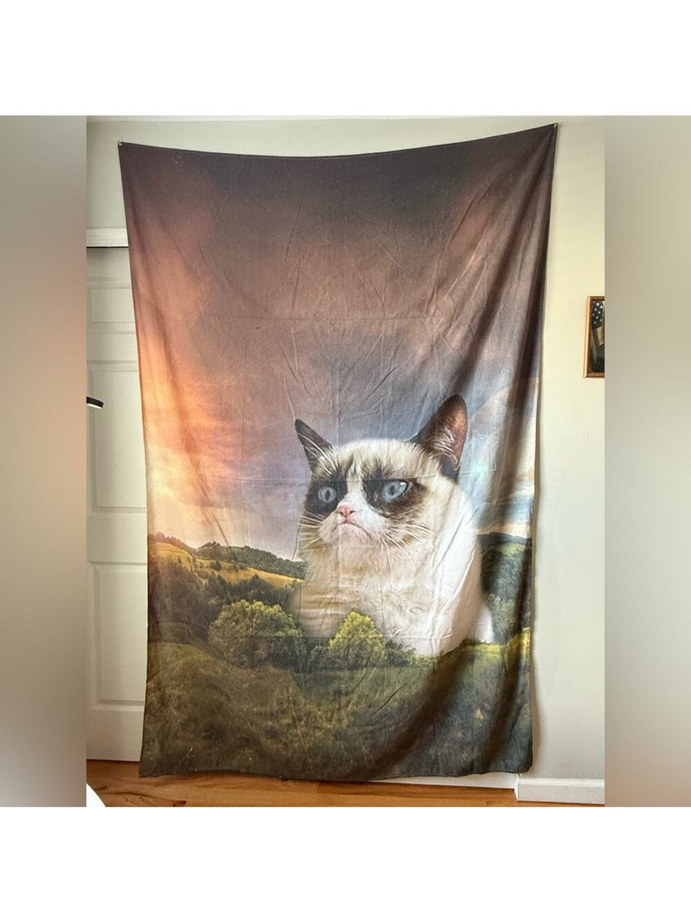 Grumpy‎ Cat Funny Tapestry - 60” x 90” - Excellent Condition